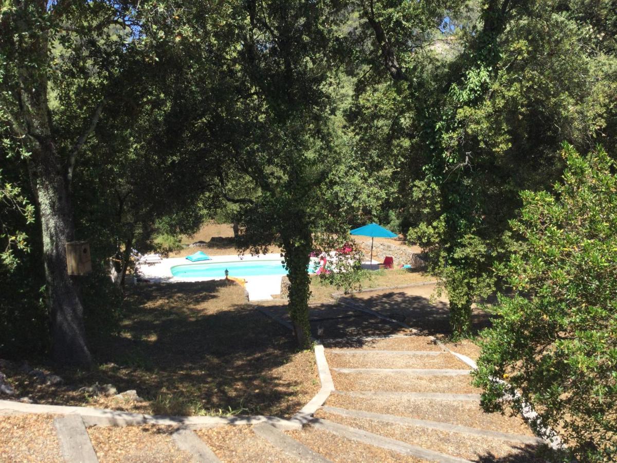 Villa Bleucassis Taradeau Extérieur photo